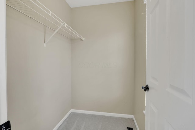 347 Wyncroft Ct, Pataskala, OH 43062 - walk in closet with carpet floors