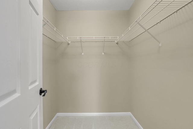 347 Wyncroft Ct, Pataskala, OH 43062 - spacious closet with carpet flooring