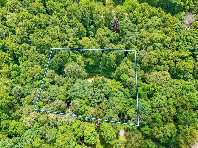 1889 Wolverine Dr, Sugar Grove, OH 43155 - view of property location with property boundaries highlighted and a forest