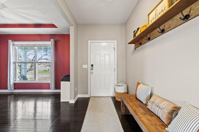 mudroom with baseboards and dark wood-style floors