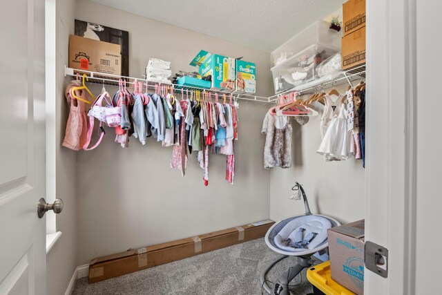 spacious closet featuring carpet floors
