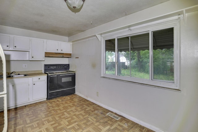 5143 Rutledge Dr N, Columbus, OH 43232 - kitchen featuring a sink, baseboards, under cabinet range hood, visible vents, and black range with electric stovetop