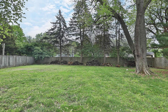 view of yard