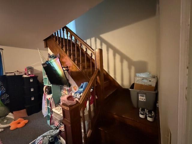 staircase with carpet