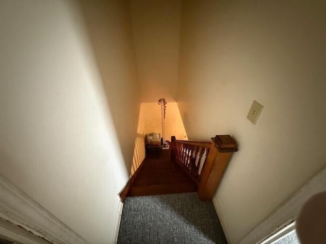 stairs with carpet floors