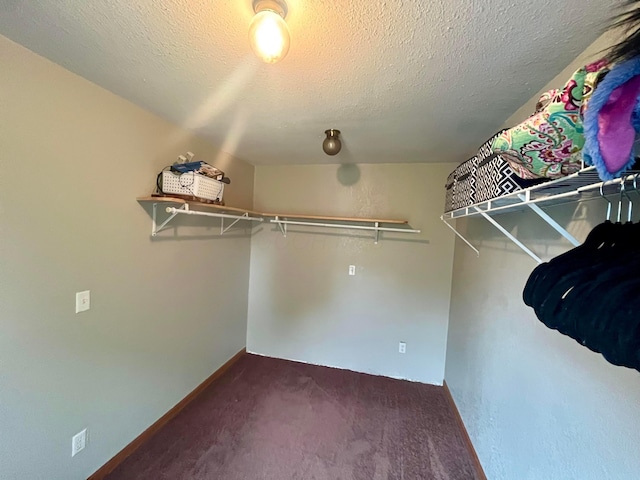 spacious closet featuring carpet floors