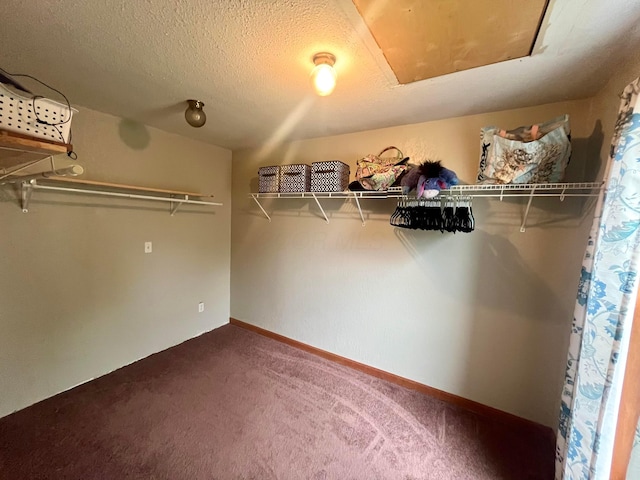 spacious closet with carpet floors
