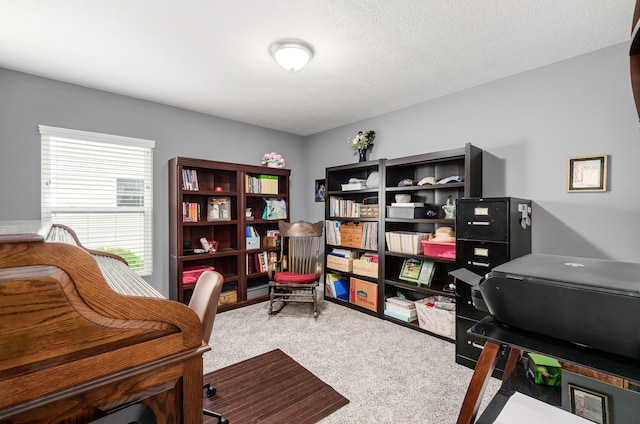 office area featuring carpet flooring