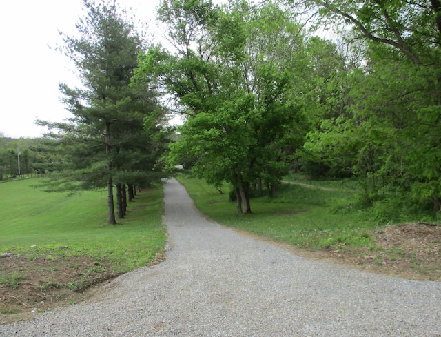 view of home's community featuring a yard