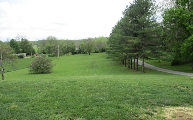 view of home's community with a lawn