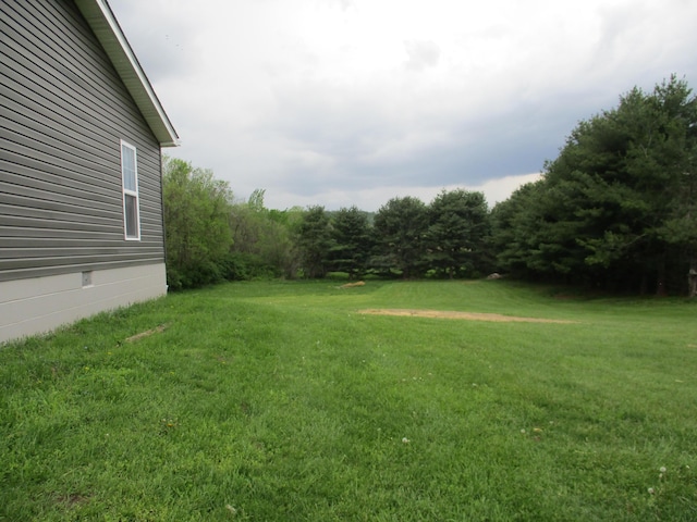 view of yard