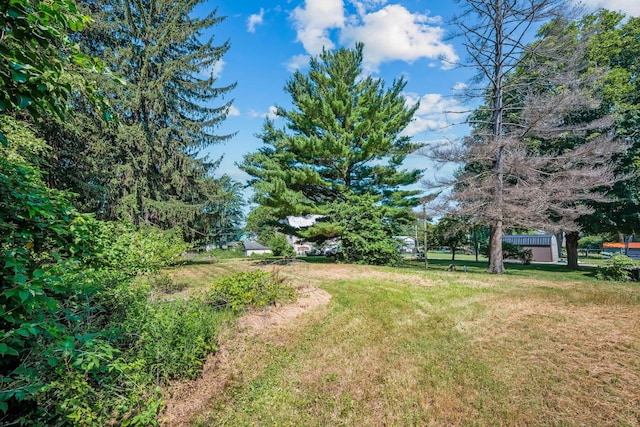 215 S Main St, Nevada, OH 44849 - photo 10