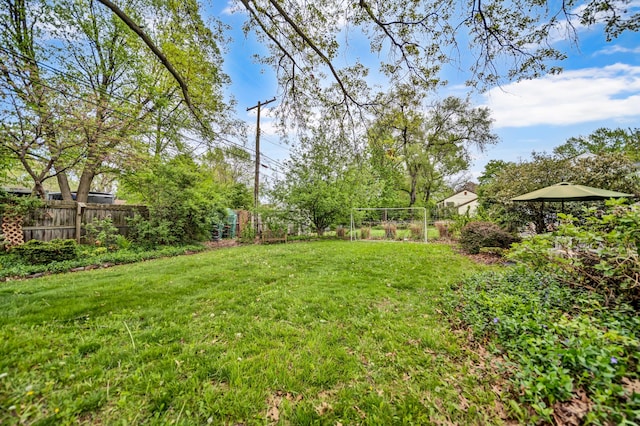 view of yard with a fenced backyard