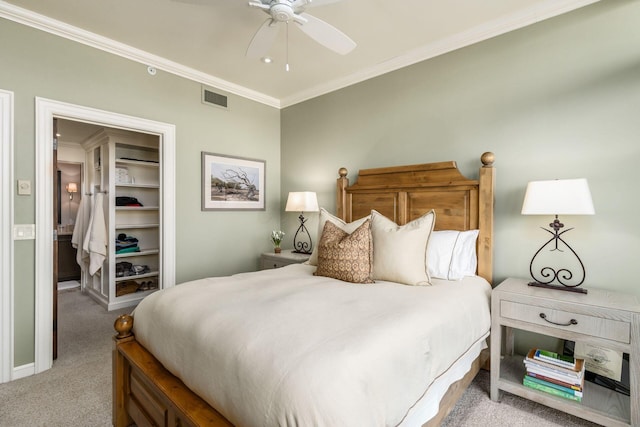 carpeted bedroom featuring crown molding, ceiling fan, a walk in closet, visible vents, and a closet