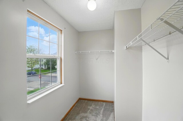 7622 Elgin Trail Dr, Blacklick, OH 43004 - spacious closet featuring carpet flooring