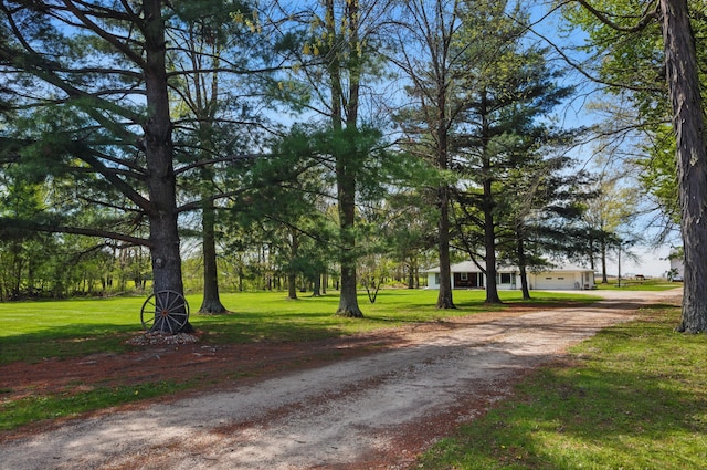 surrounding community featuring a lawn and driveway