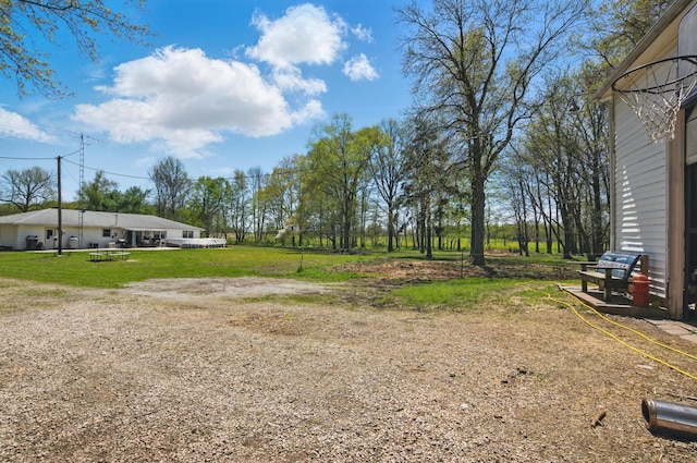 view of yard