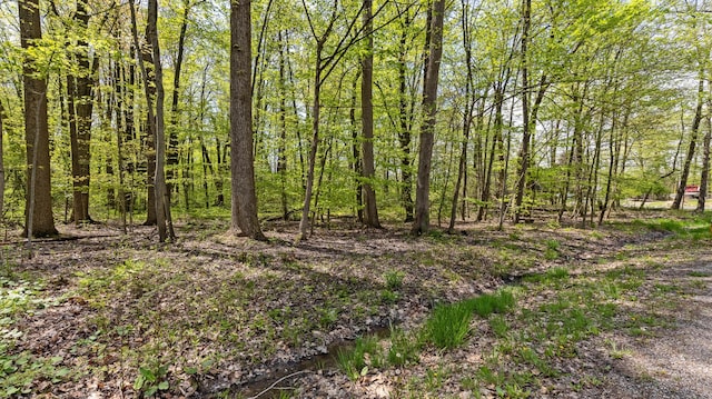 7326 State Route 19 Unit 2, Lots 322 & 323, Mount Gilead, OH 43338