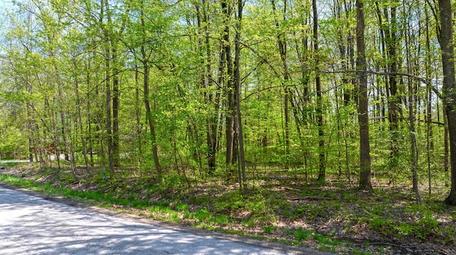 7326 State Route 19 Unit 2, Lots 322 & 323, Mount Gilead, OH 43338