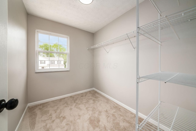 3141 Amberfield Dr, Columbus, OH 43232 - walk in closet with carpet floors