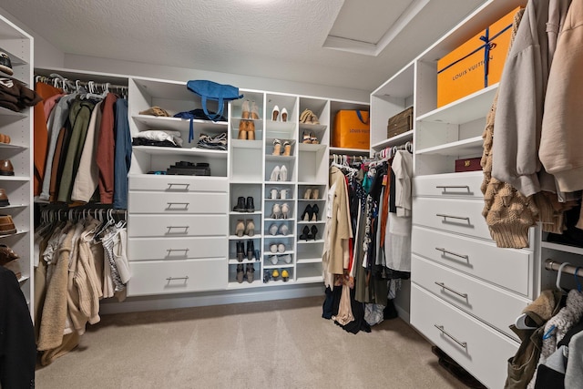 spacious closet featuring carpet and attic access