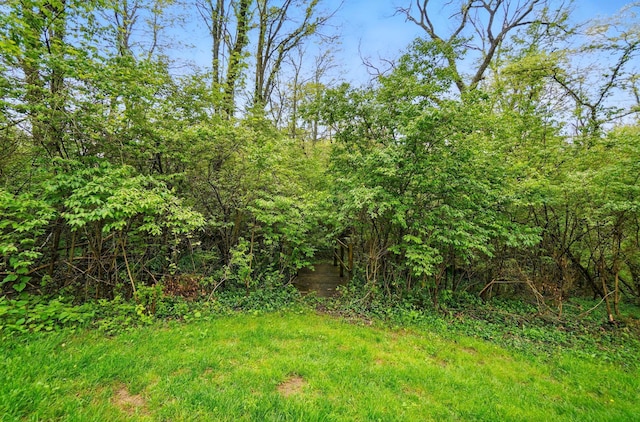 9127 Red Cedar Dr, West Chester, OH 45069 - view of yard featuring a wooded view