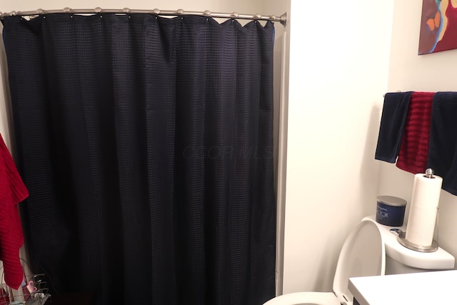 full bathroom featuring vanity, toilet, and a shower with curtain
