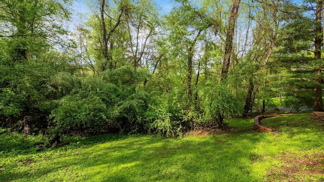 629 Mcintosh Dr, Howard, OH 43028 - photo 55