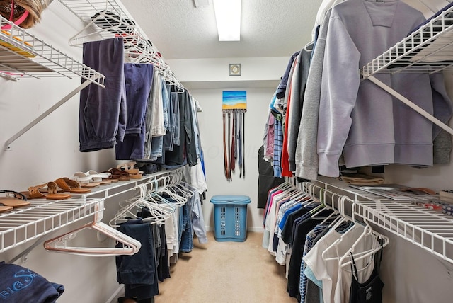 walk in closet with carpet flooring