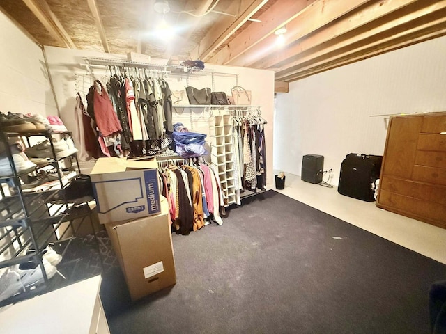 spacious closet with carpet floors