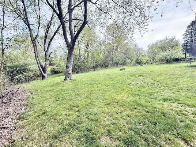 view of yard with a trampoline