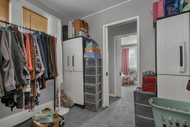 walk in closet featuring carpet