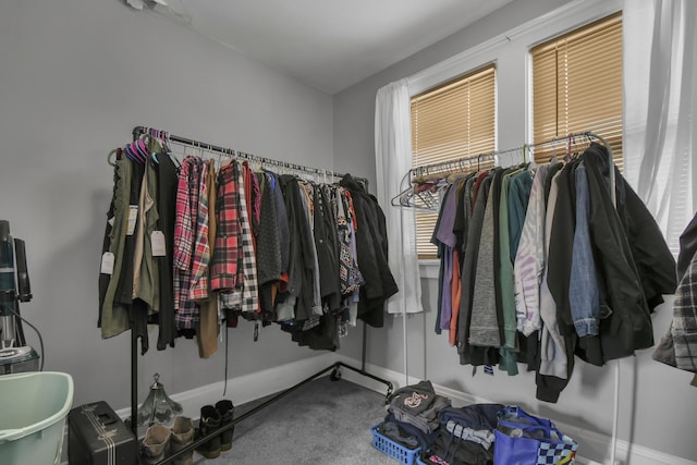 walk in closet featuring carpet flooring