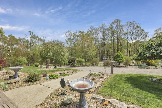 3615 Dragoo Rd, Nashport, OH 43830 - view of yard