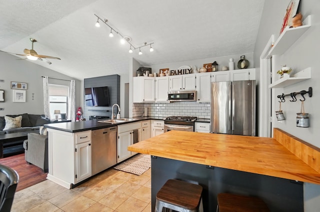 4969 Shannonbrook Dr, Columbus, OH 43221 - kitchen featuring ceiling fan, a textured ceiling, appliances with stainless steel finishes, a sink, and a peninsula