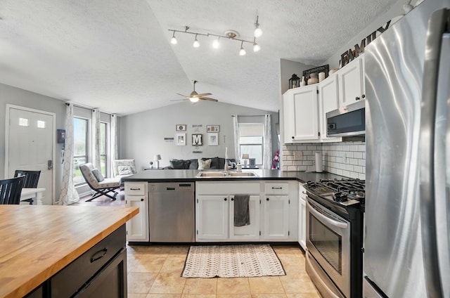 4969 Shannonbrook Dr, Columbus, OH 43221 - kitchen featuring a peninsula, wooden counters, ceiling fan, a sink, and appliances with stainless steel finishes