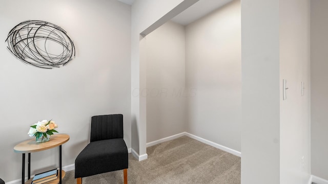 502 Hamilton Ave, Columbus, OH 43203 - living area featuring carpet floors and baseboards