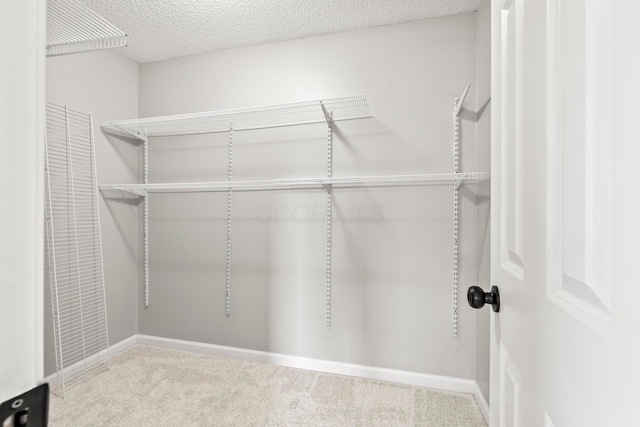 spacious closet with carpet
