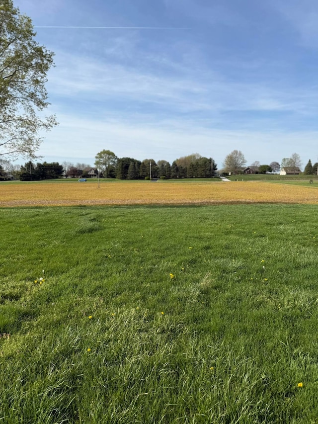 view of yard with a rural view