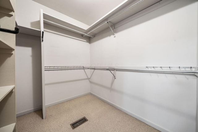 1624 Coppertree Ln, Columbus, OH 43232 - walk in closet featuring light carpet