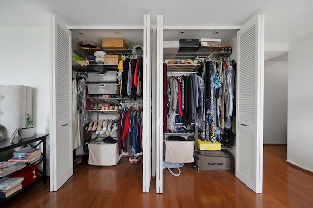 view of closet