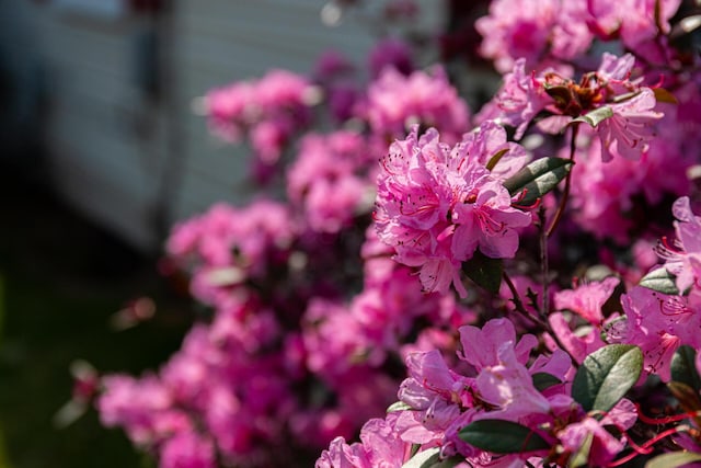 247 Bank St, Mount Gilead, OH 43338 - view of details