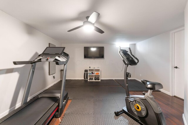 9137 Parkpoint Ln, Lewis Center, OH 43035 - workout room featuring a ceiling fan and baseboards