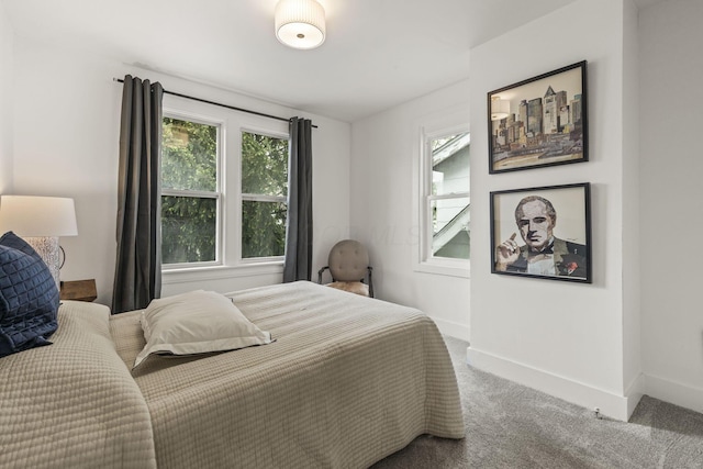 147 N Ogden Ave, Columbus, OH 43204 - bedroom featuring carpet floors, baseboards, and multiple windows