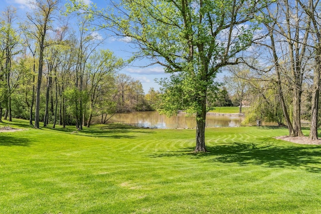 125 W Woodmere Dr, Tiffin, OH 44883 - view of yard with a water view