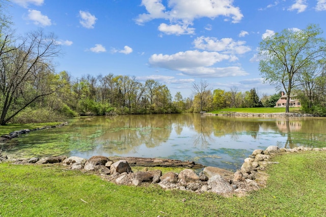 125 W Woodmere Dr, Tiffin, OH 44883 - view of water feature