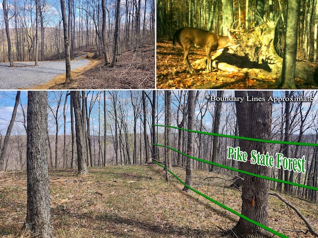 0 Pike Lake Rd (Tract 4Pike Lake Getaway), Unit Tract 4Pike Lake Getaway Bainbridge, OH 45612