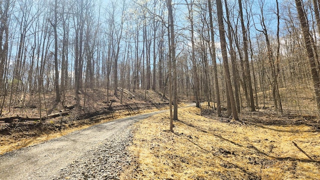 0 Pike Lake Rd (Tract 4Pike Lake Getaway), Unit Tract 4Pike Lake Getaway Bainbridge, OH 45612