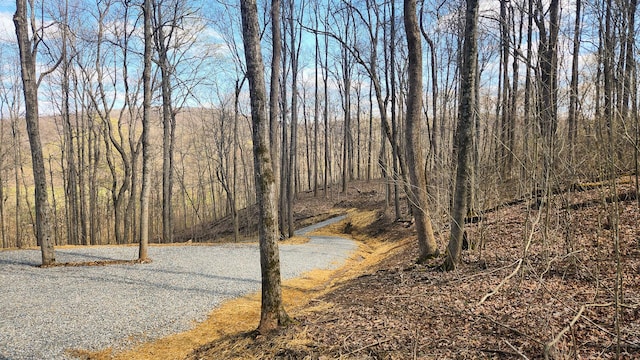 0 Pike Lake Rd (Tract 4Pike Lake Getaway), Unit Tract 4Pike Lake Getaway Bainbridge, OH 45612