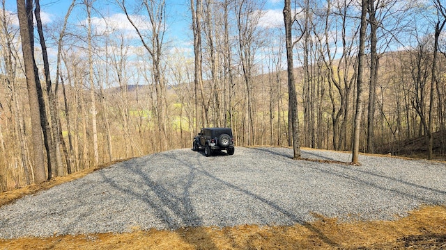 0 Pike Lake Rd (Tract 4Pike Lake Getaway), Unit Tract 4Pike Lake Getaway Bainbridge, OH 45612